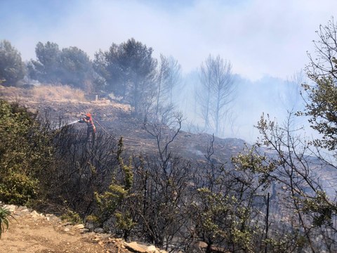 Incendie aux Pennes-Mirabeau : le feu aux portes de Marseille