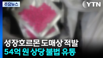 근육 키운다고 성장 호르몬 투약...54억 원 상당 불법 유통 / YTN