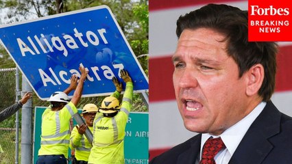 'They Asked Us For Help': Florida Governor Ron DeSantis Discusses Building Alligator Alcatraz