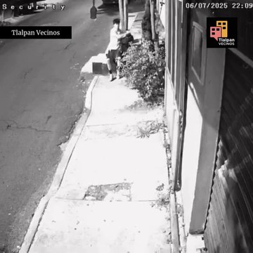 Hallan feto en etapa avanzada de gestación en jardinera de Tlalpan