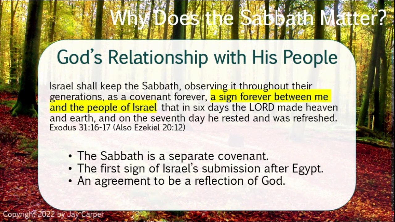 A Sabbath to YHWH, part 2c: Why Does It Matter?