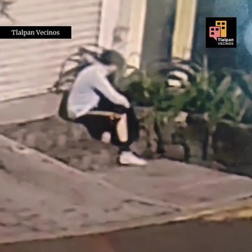 Hallan feto en etapa avanzada de gestación en jardinera de Tlalpan 2