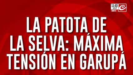 Te desalojan violentamente y te usurpan las tierras: así actúa la patota de la selva
