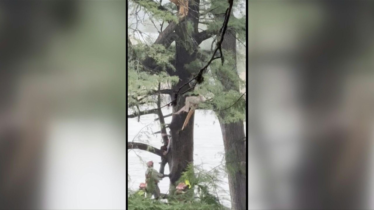 Opferzahl nach Flutkatastrophe in Texas steigt auf mehr als 100