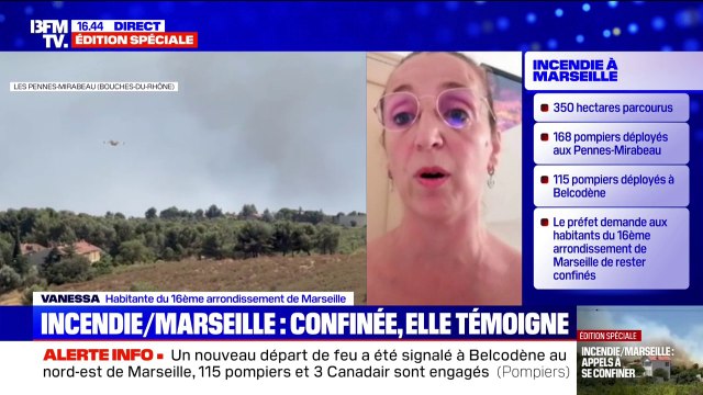 C'est vraiment irrespirable [...] je n'ai jamais vu ça : cette habitante du 16e arrondissement inquiète face à l'ampleur de l'incendie qui touche Marseille