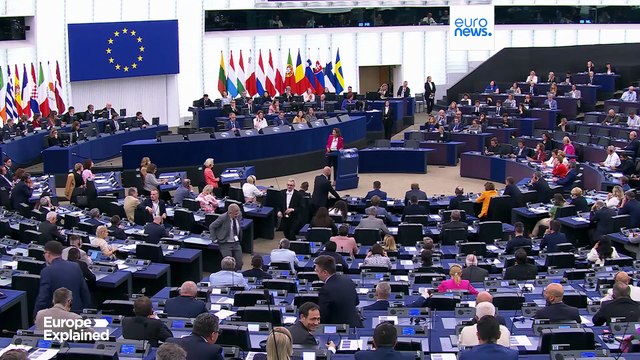 Voto di fiducia per Ursula von der Leyen: la posizione dei partiti del Parlamento europeo