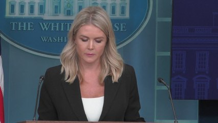 Karoline Leavitt responds on ‘disappearance’ of Epstein files from Pam Bondi's desk