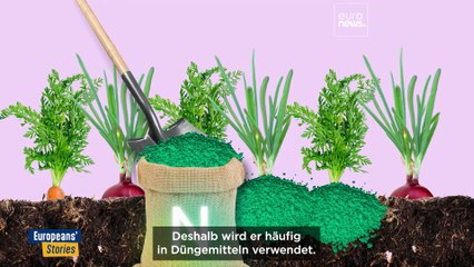 Niederländische Landwirtschaft stellt EU-Umweltziele auf den Prüfstand