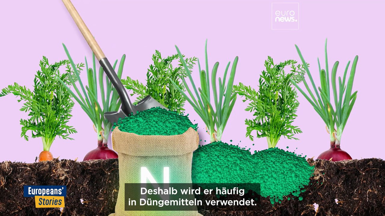 Niederländische Landwirtschaft stellt EU-Umweltziele auf den Prüfstand