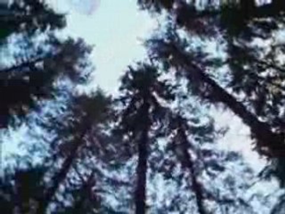 30 Seconds To Mars A Beautiful Lie