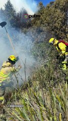 Arden cerros orientales de Bogotá - Incendios Forestales en Colombia | Pulzo