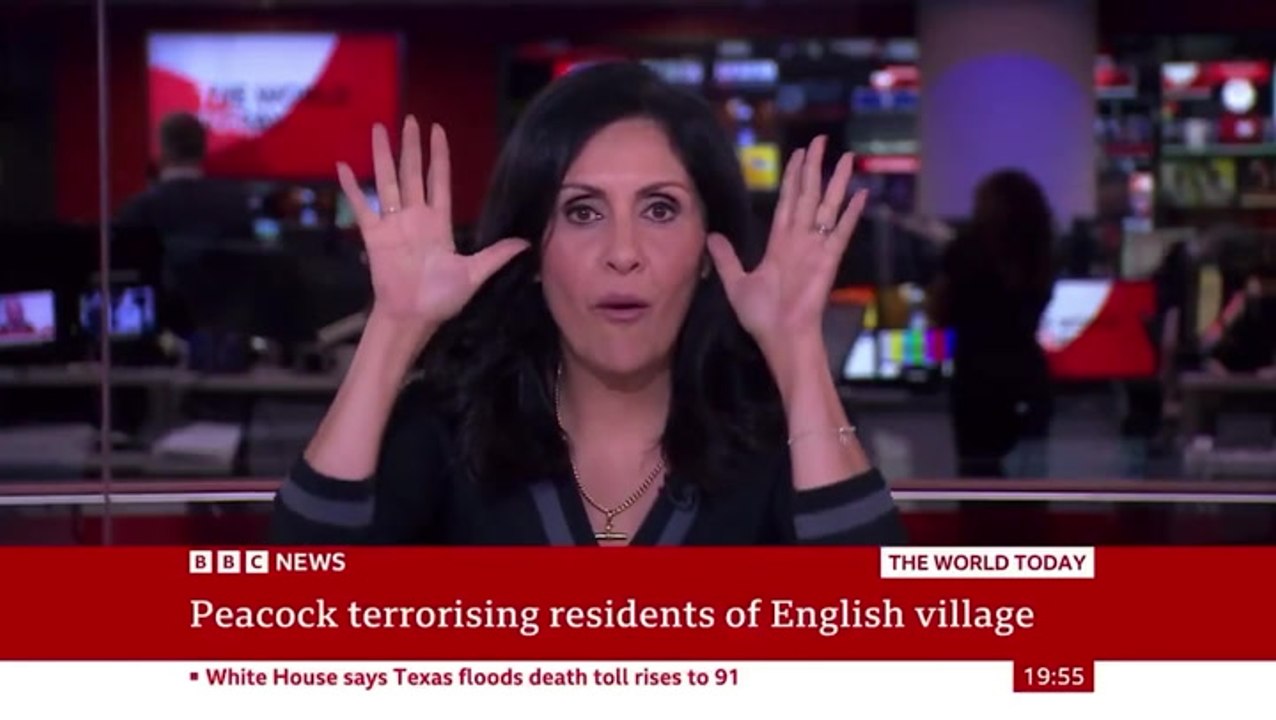 BBC newsreader does bizarre peacock impression live on air – two years after viral rude gesture