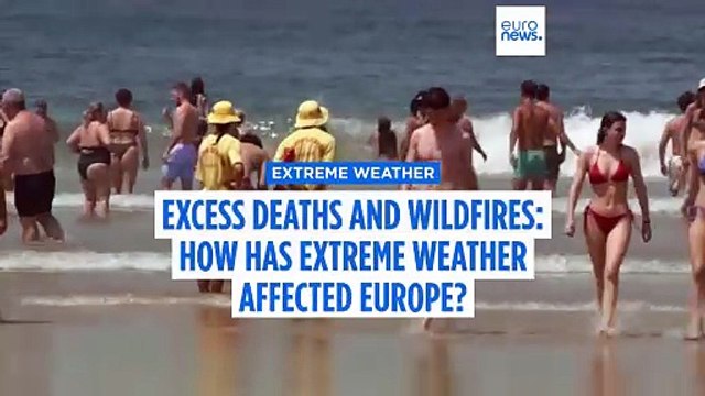 Portugal records 284 excess deaths during heatwave as wildfires rage across Europe