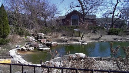 March 14 2025  Lincoln Park Chicago