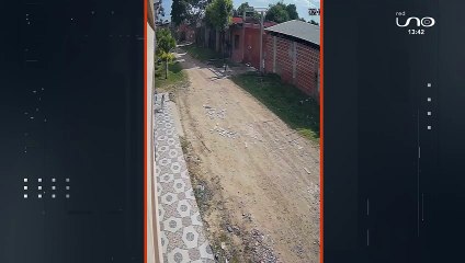 ¿Miedo a un Perro Agresivo? Cómo Protegerte y Mantener la Seguridad 🐶