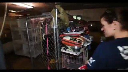 DOGSPIRACY Official Trailer 2025  Puppy Mills, Smuggling & Animal Welfare  In UK Cinemas 1 August