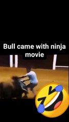 🤣 Creator's-In Hub