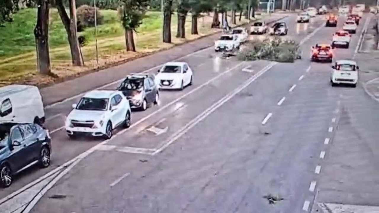 Maltempo, a Verona vento a 100 chilometri orari: albero piomba sulle auto in coda