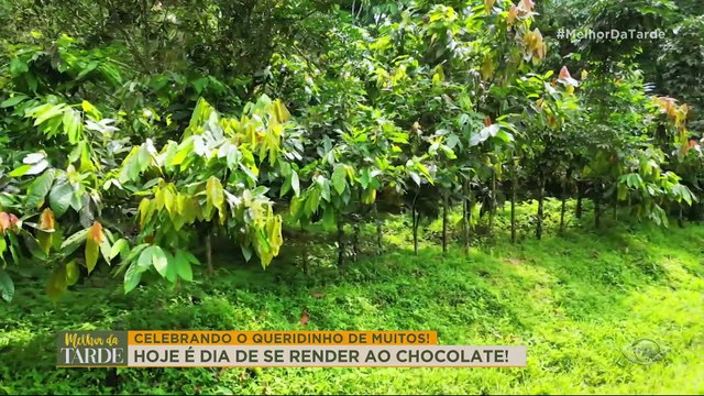 Dia Mundial do Chocolate: Melhor da Tarde mostra delícias feitas com o doce