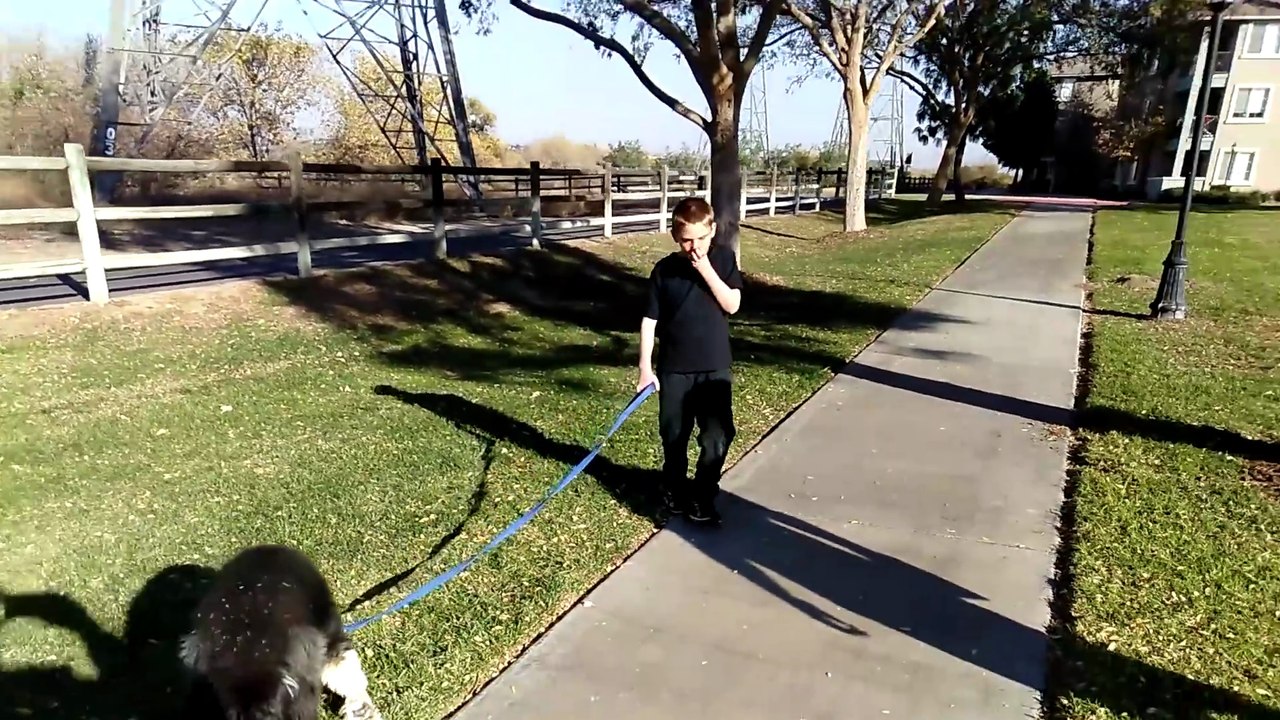 Walking the dog
