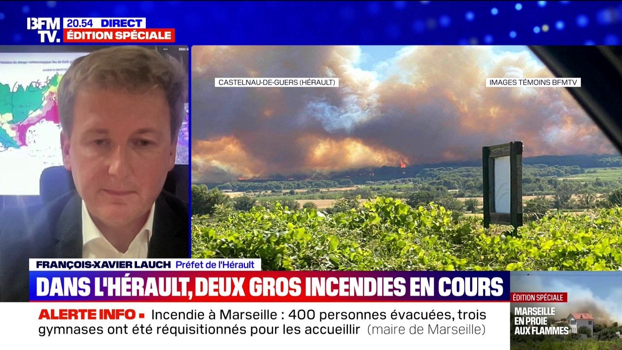Incendie dans l'Hérault: "750 pompiers" ont été mobilisés, assure François-Xavier Lauch (préfet de l'Hérault)