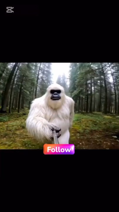 Yeti seens a Alien UFO and he Starts capturing.