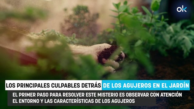 Los expertos avisan: si encuentras estos agujeros en tu jardín, puedes tener cerca a estos animales
