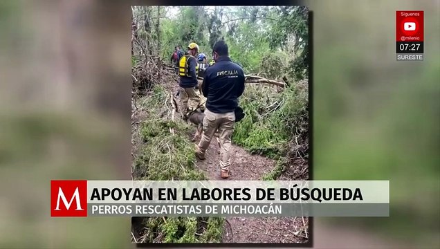 Perros rescatistas de Michoacán apoyan en labores de búsqueda tras inundaciones en Texas