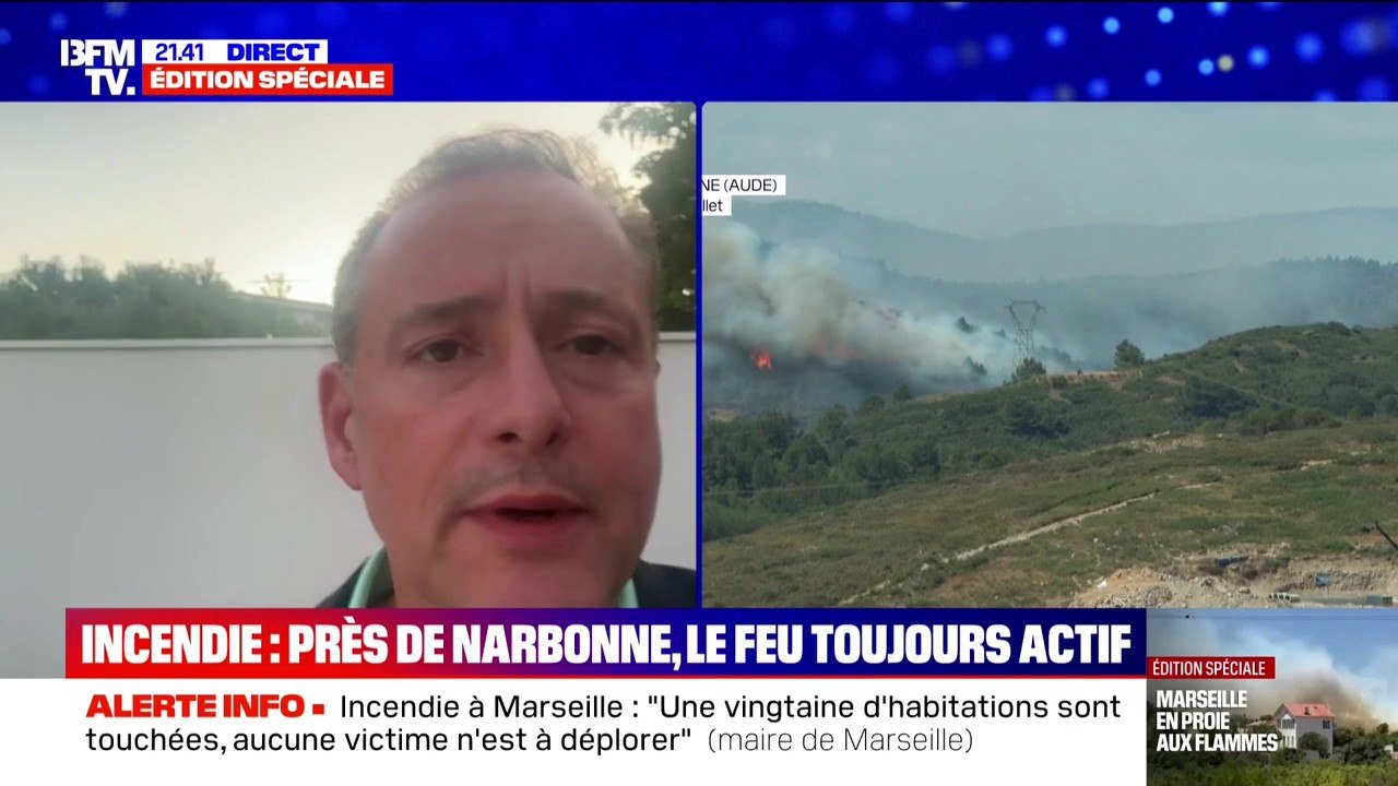 L'incendie à Narbonne, dans l'Aude, a brûlé "plus de 1.800 hectares" et "un peu plus de 300 pompiers mobilisés", assure le maire