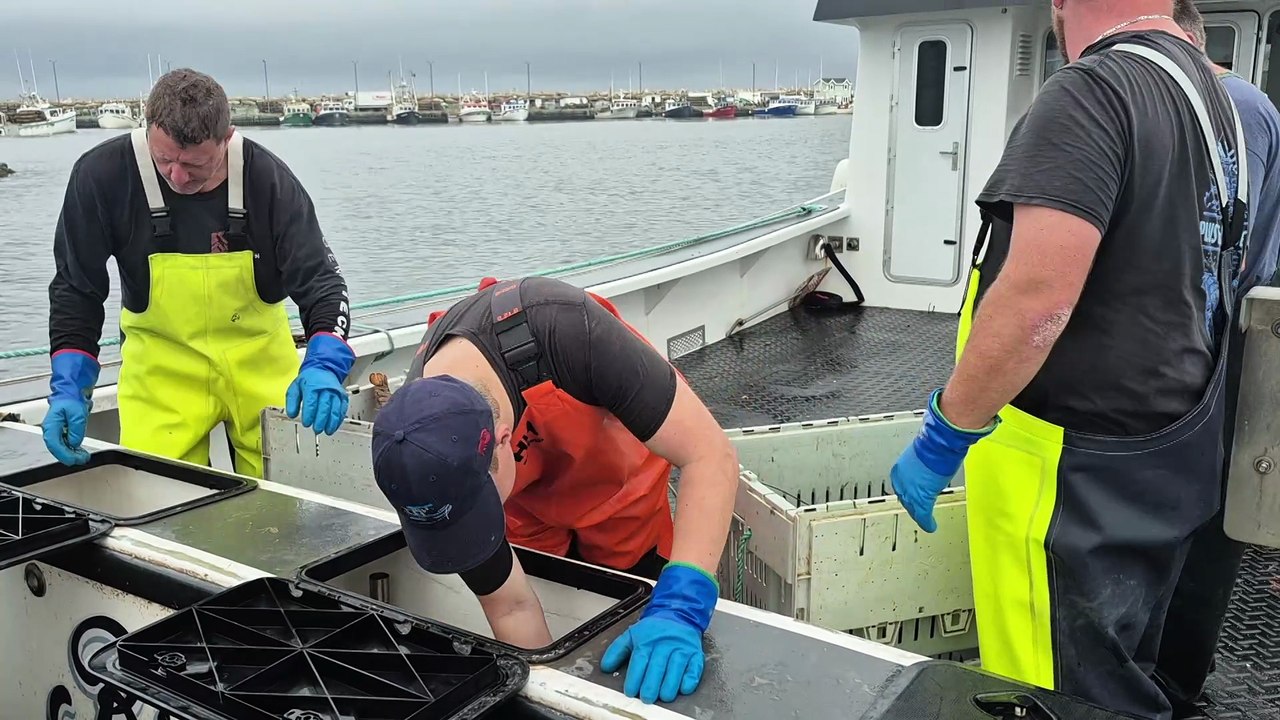 08 juillet TOPO LH fin peche homard IDLM