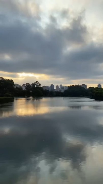 BRAZIL #4