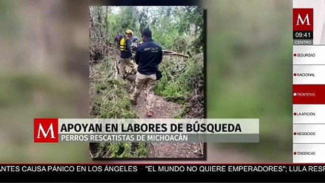 Perros rescatistas de Michoacán colaboran en labores de búsqueda tras inundaciones en Texas