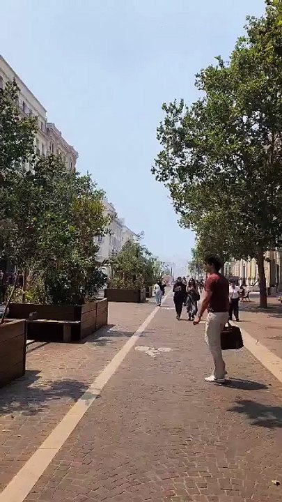 Des cendres tombent en plein centre de Marseille, des habitations touchées et des évacuations en cours