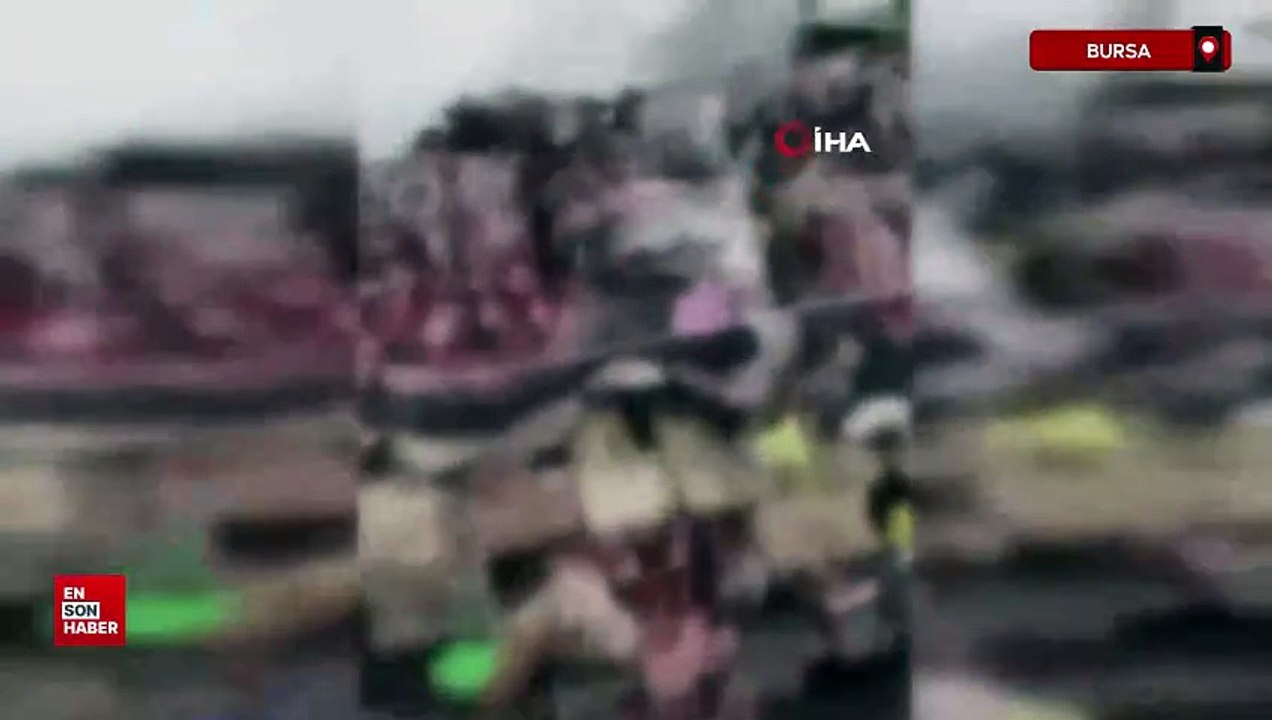 Bursa'da sağlıksız şartlarda istiflenmiş çok sayıda hayvan kafası bulundu