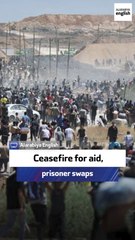 Palestinian ambassador: Ceasefire for aid, prisoner swaps