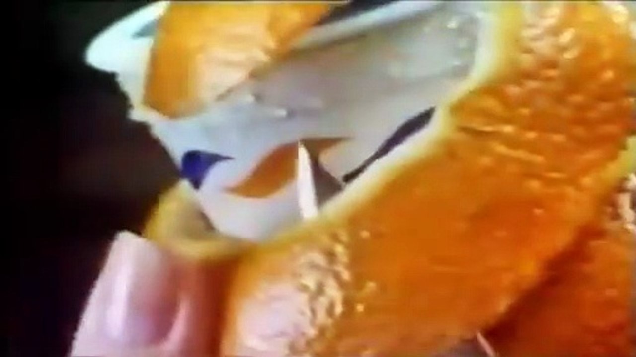 Iogurte Danone 1985 (Imagine se Natural com Mel)