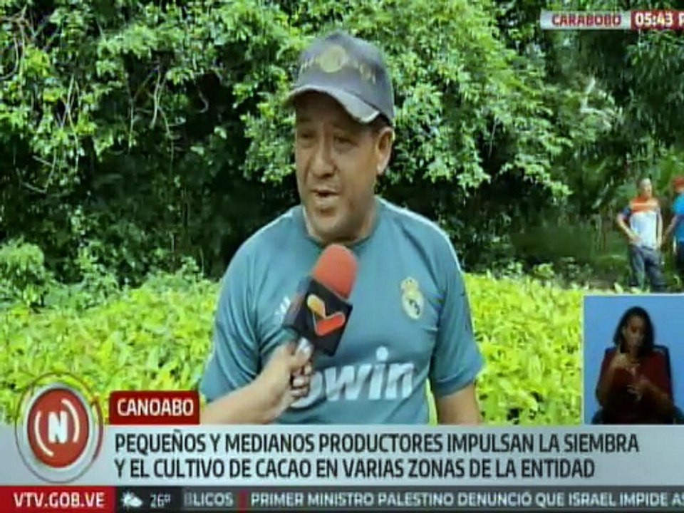 Entregan más de cien mil plantas de cacao para impulsar su siembra y cultivo en Carabobo