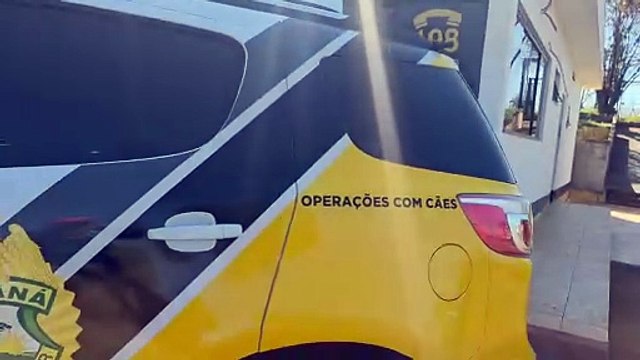 PRE recupera Hilux furtada com placas clonadas na PR-323