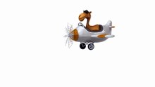 Airline