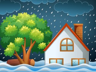 Cara Mencegah Banjir di Lingkungan Sekitar