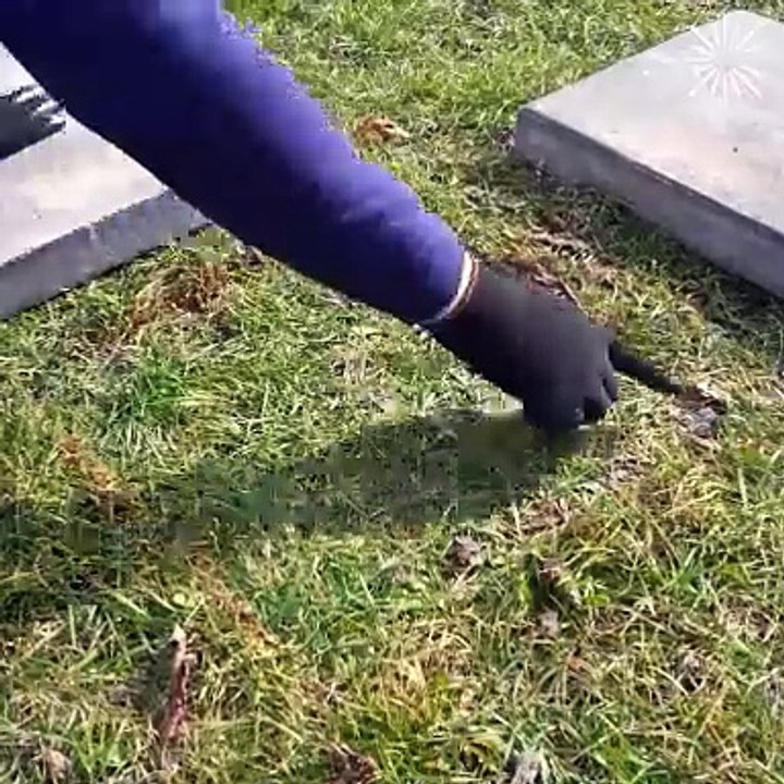 Create perfect cement stone steps for your garden!