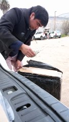 envio case platillos para Diego Martin se envia a stgo 2025 07 08