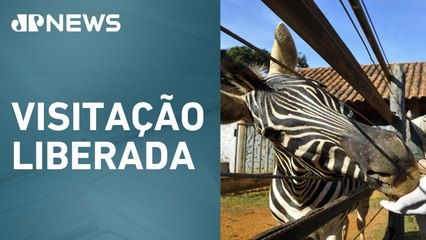 Zoológico de Brasília reabre após caso de gripe aviária