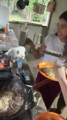 Sneaky Cat Eats Pasta as Owners Get Busy Prepping Cheese