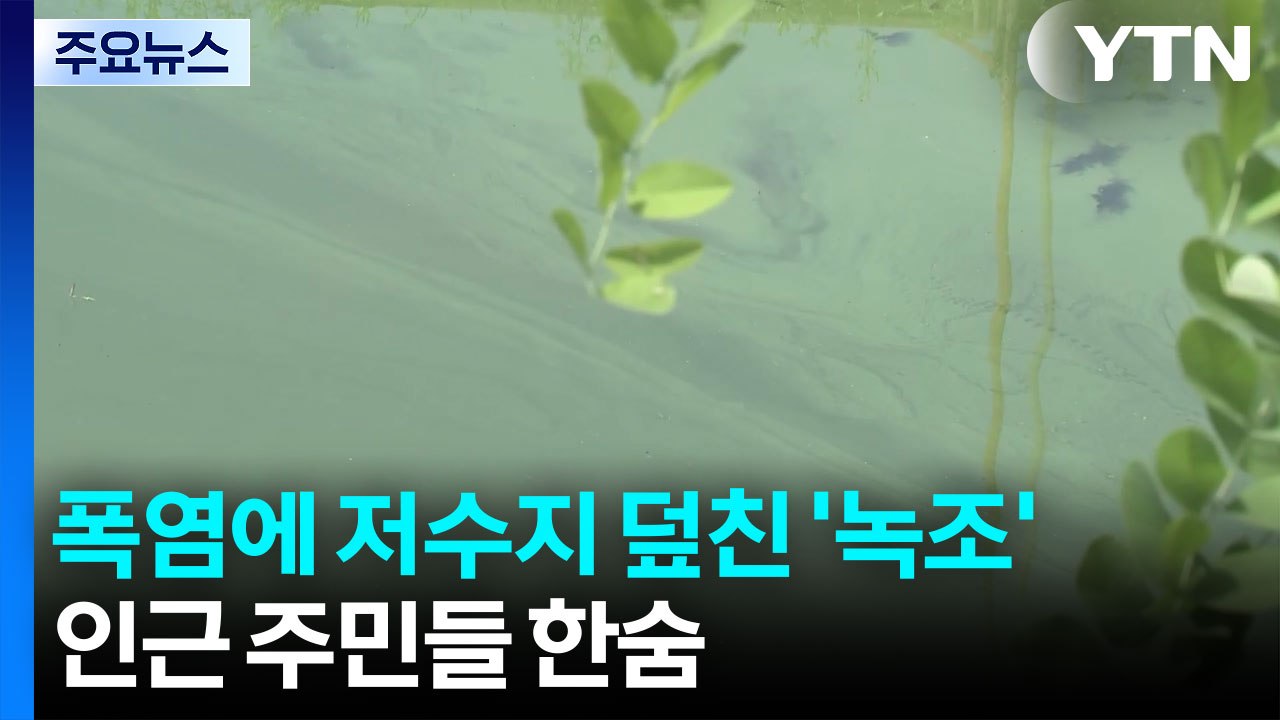 폭염에 저수지 덮친 '녹조'...인근 주민들 한숨 / YTN