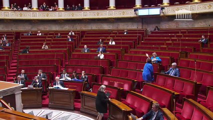 2ème séance : Création d'un statut de l'élu local (suite) - Mardi 8 juillet 2025