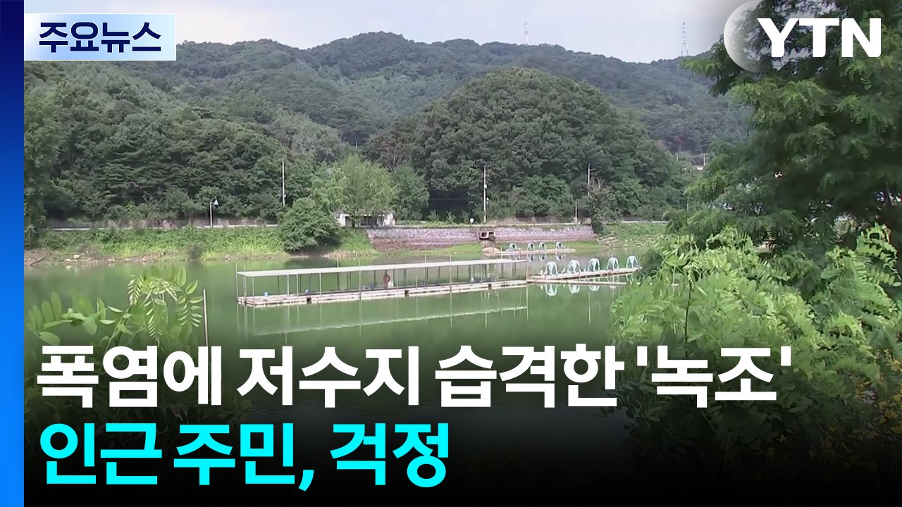 폭염에 저수지 습격한 '녹조'...인근 주민, 걱정 / YTN