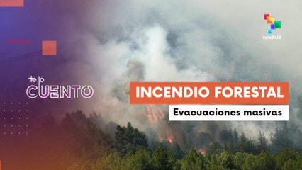 Incendio destruye hectáreas de bosque en Francia
