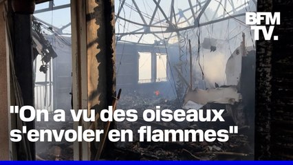Incendie à Marseille: les images impressionnantes des dégâts