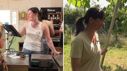 Mini-série : Ces saisonniers ont décidé de passer leur été… dans les champs !